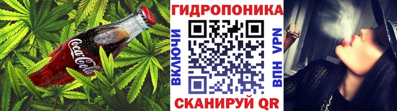 Купить закладки  Мичуринск  Cannafood конопля 