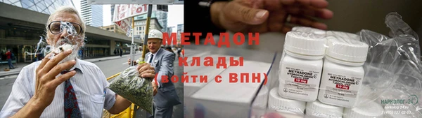 прущие грибы Арсеньев