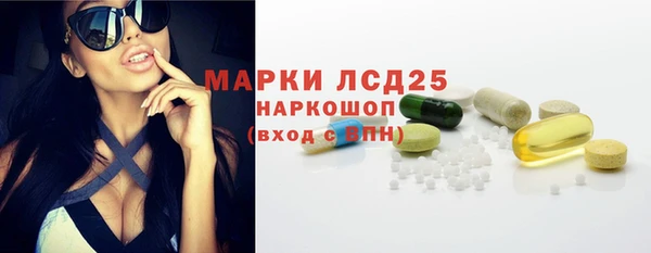 apvp Аркадак