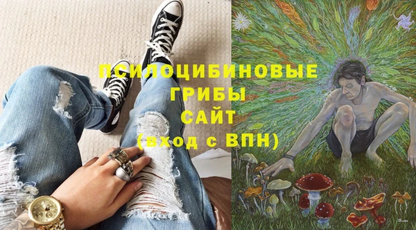 трава Балахна