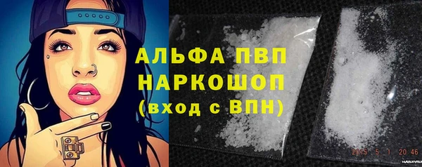 прущие грибы Арсеньев