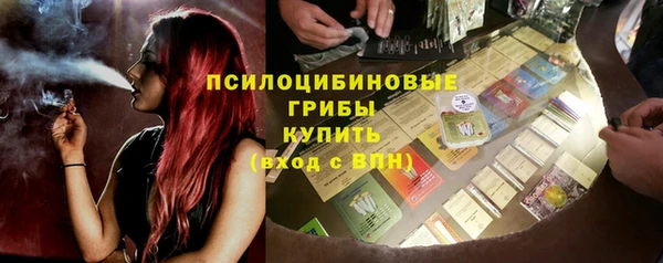 apvp Аркадак