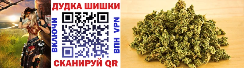 Каннабис сатива  Купить закладки  Мичуринск 